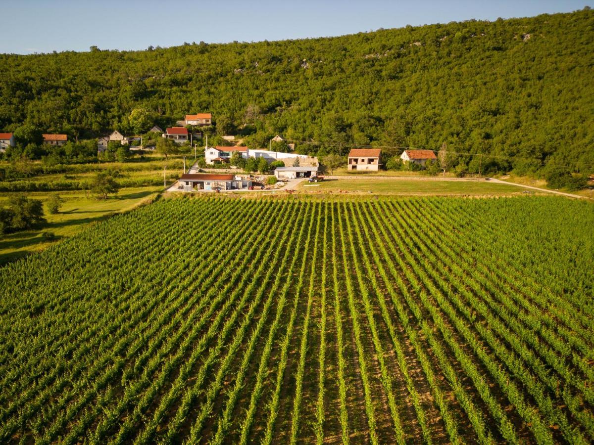 Krolo Villa&Wine 特里尔 外观 照片